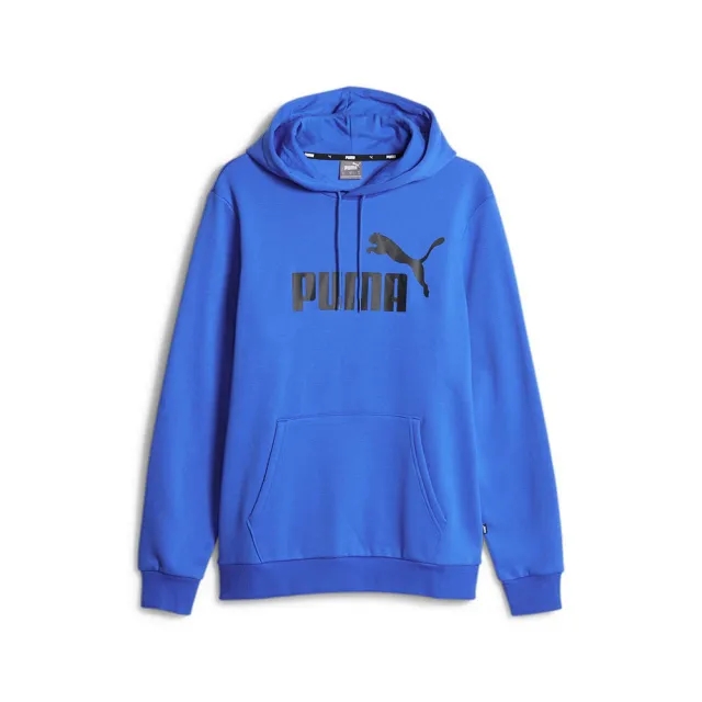 Puma Ess Big Logo Hoodie