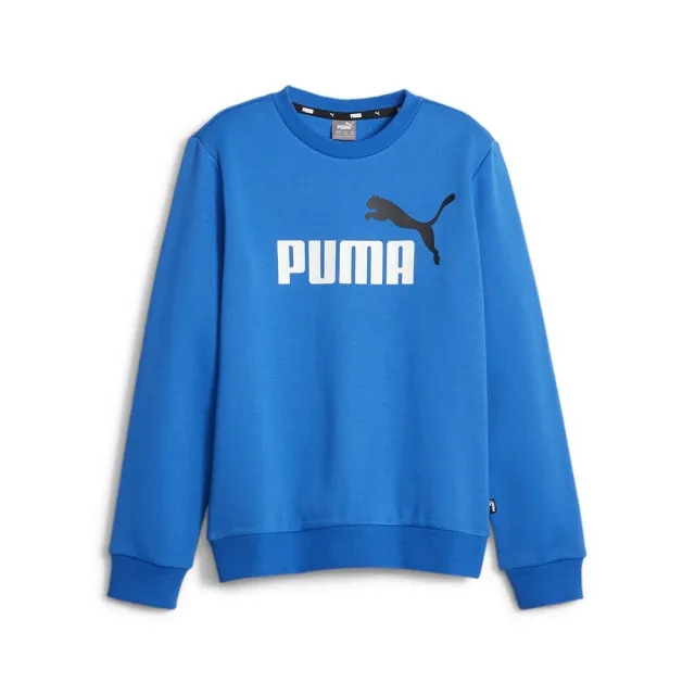Puma Ess+ 2 Col Big Logo Sweatshirt