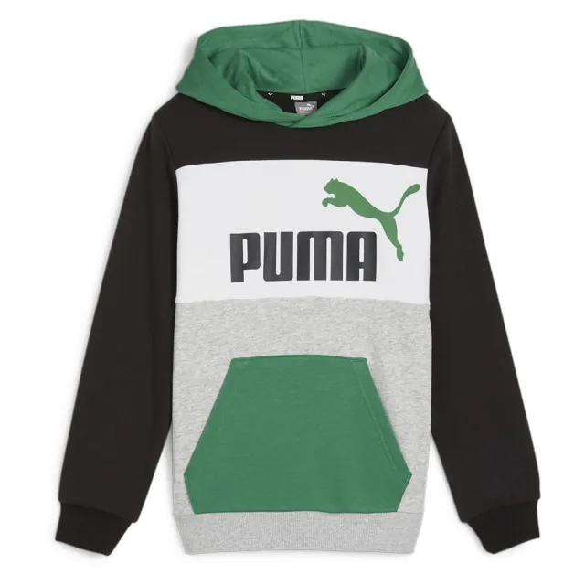 Puma Ess Block Hoodie