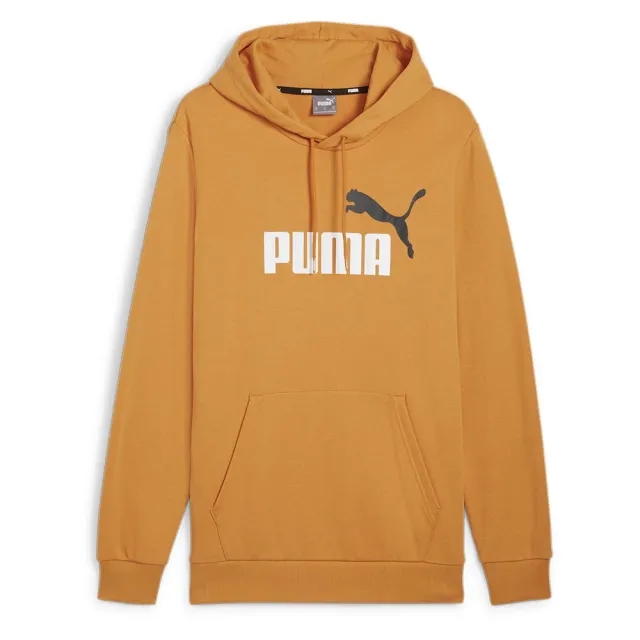 Puma Ess+ 2 Col Big Logo Hoodie