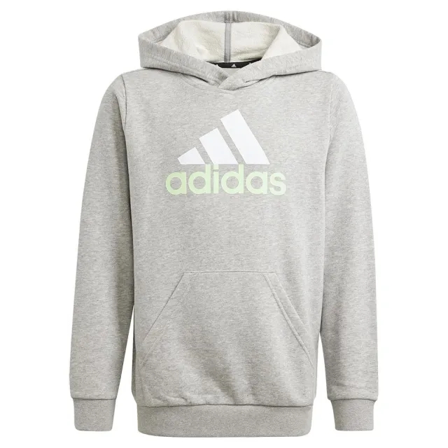 Adidas Essentials 2 Coloured Big Logo Hoodie
