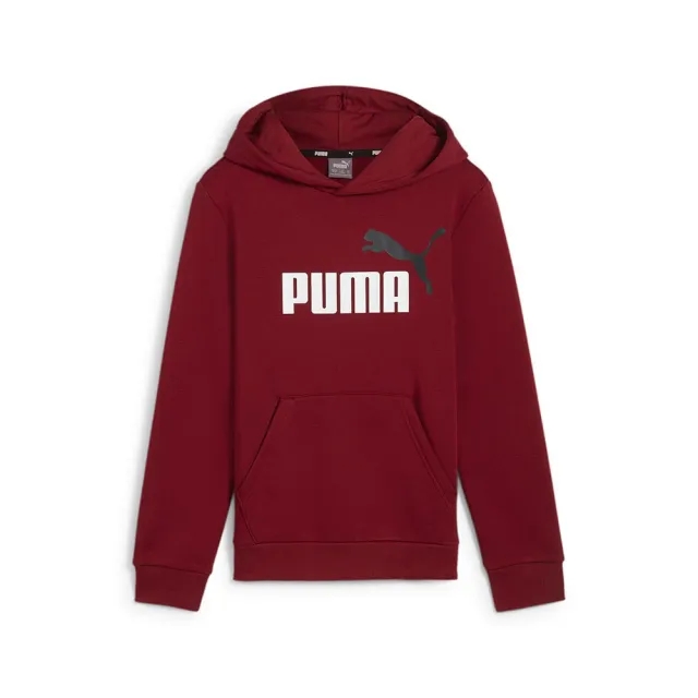 Puma Ess+ 2 Col Big Logo Hoodie