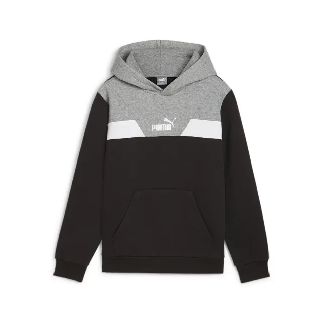 Puma Power Colorblock Hoodie