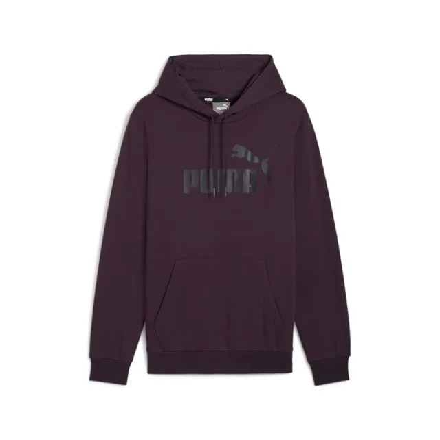 Puma Ess Big Logo Hoodie