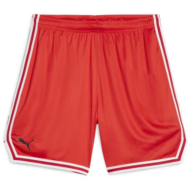 Puma Hoops Team Game Shorts