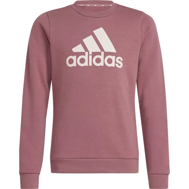 Adidas Essentials Big Logo Cotton Sweatshirt