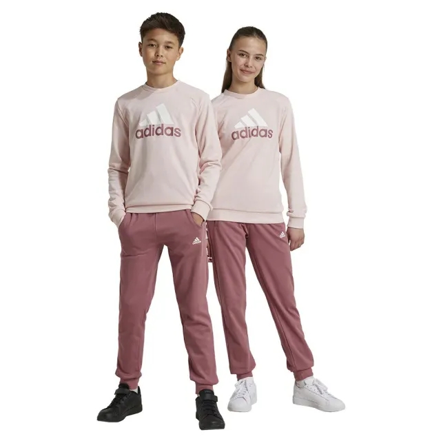 Adidas Essentials Big Logo French Terry Joggers Tracksuit