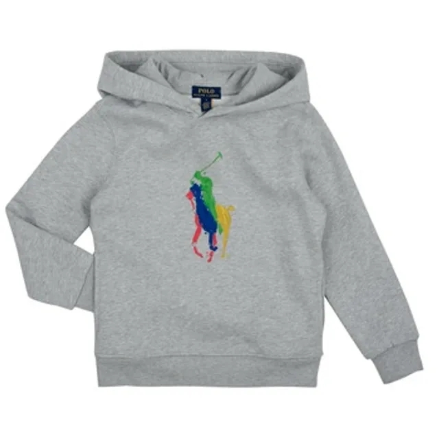 Polo Ralph Lauren  PO HOOD-KNIT SHIRTS-SWEATSHIRT  boys's Children's sweatshirt in Grey