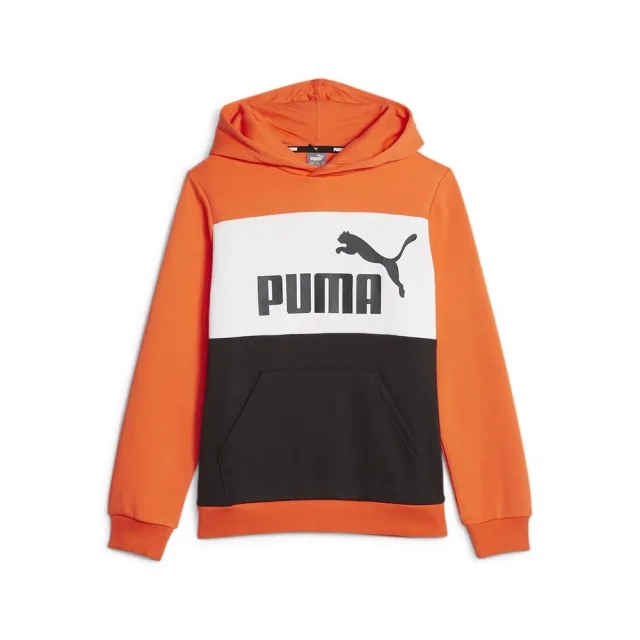 Puma Ess Block Fl Hoodie