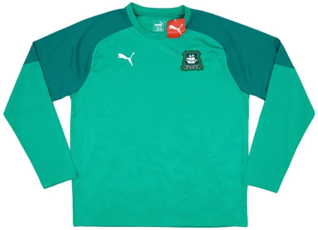 2018-19 Plymouth Puma Training L/S Shirt (L)