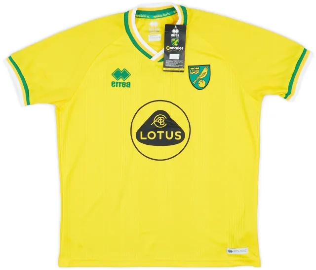 Errea 2020-21 Norwich City Home Shirt (Women's L)