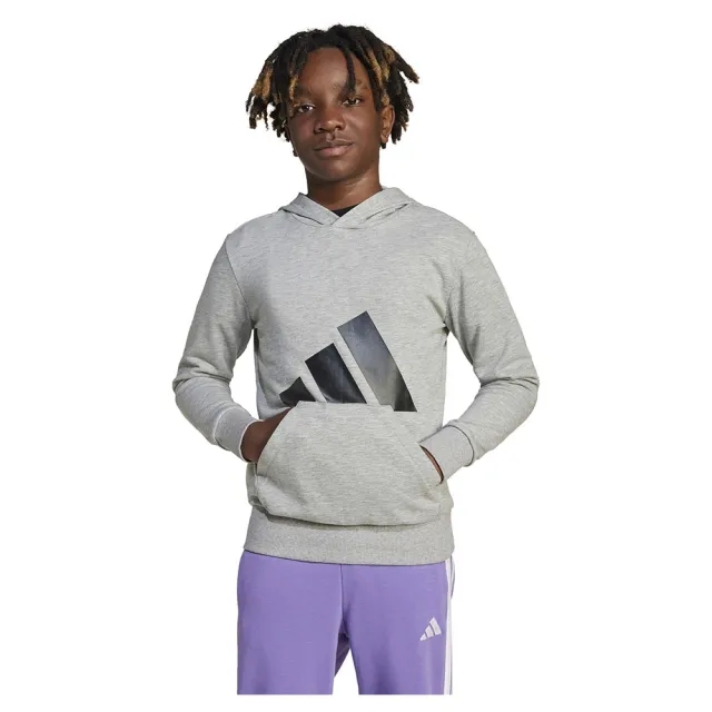 Adidas Essentials Big Logo Hoodie