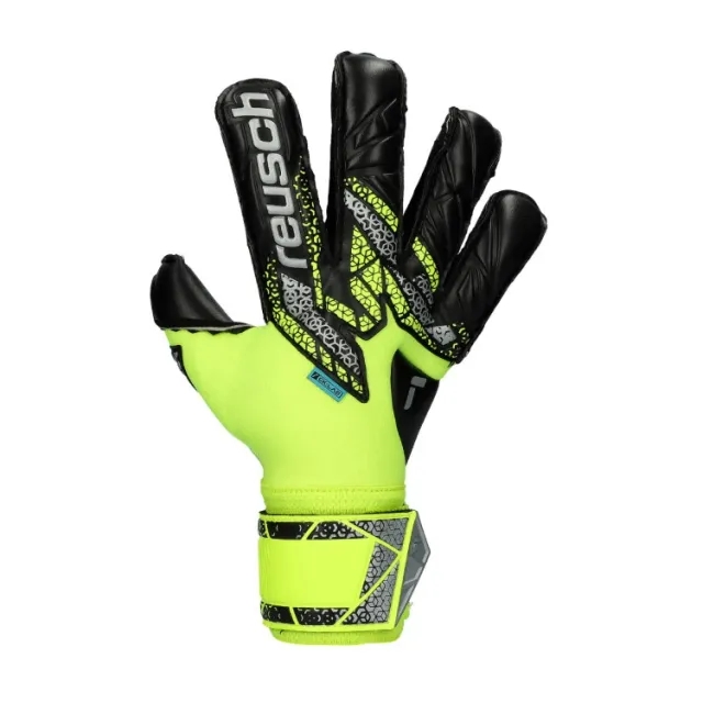 Reusch Attrakt Duo Evolution GK Gloves