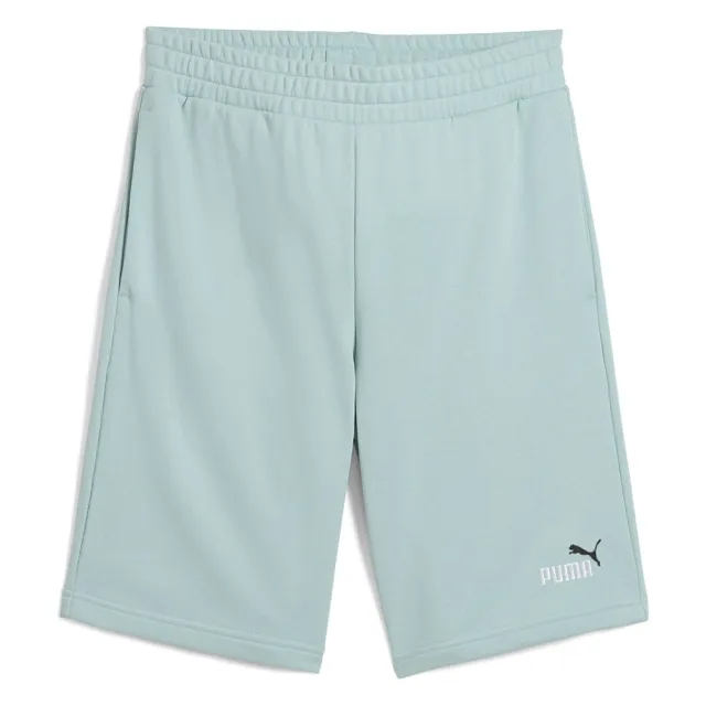 Puma  ESS 2 COLOR LOGO SHORT  men's Shorts in Green