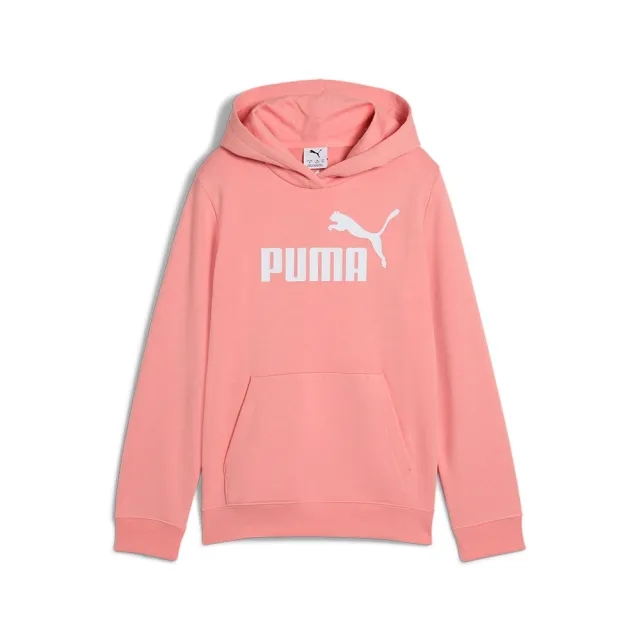 Puma Ess Nº1 Logo Hoodie