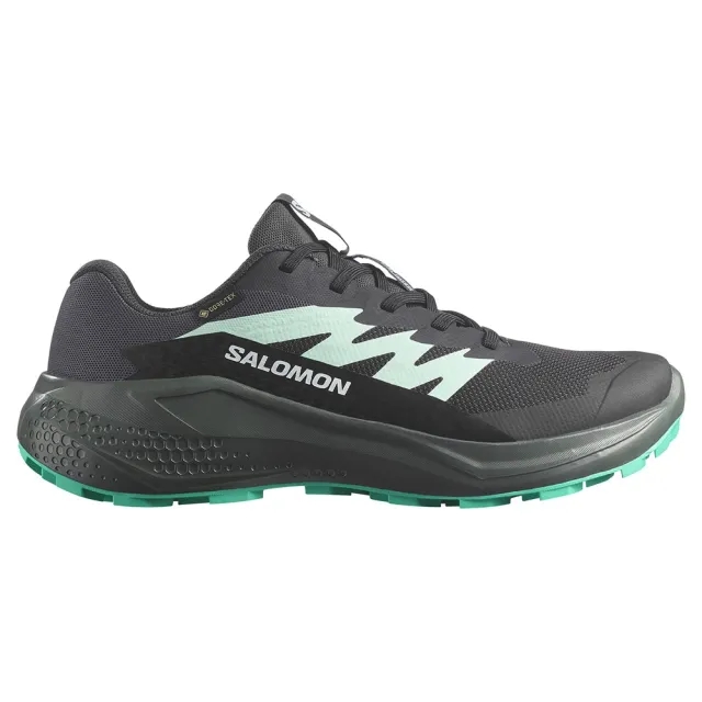 Salomon Alphaglide Goretex Trail Running Shoes