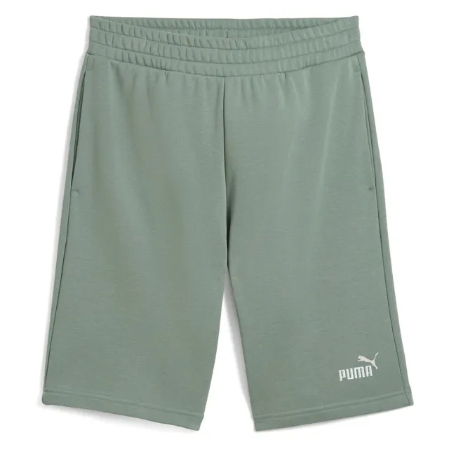 Puma  ESS 2 COLOR LOGO SHORT  men's Shorts in Green