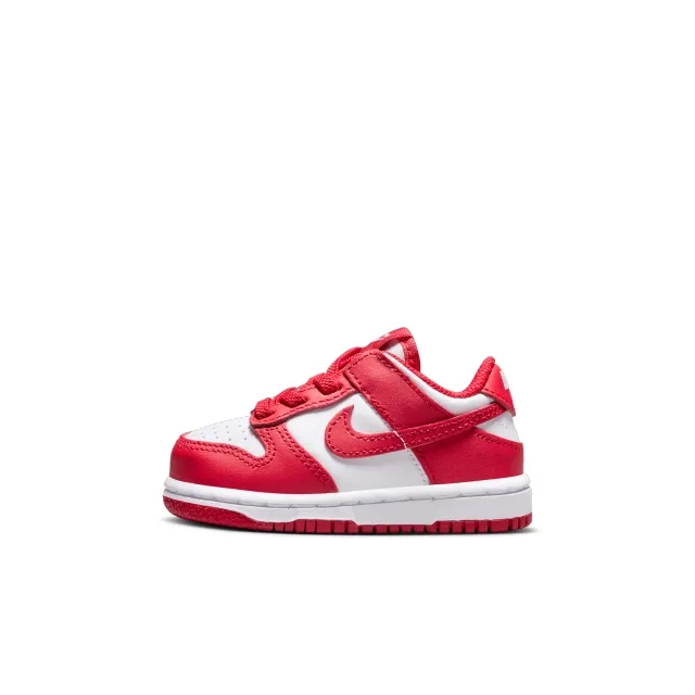 Nike Baby Toddler Shoes Dunk Low