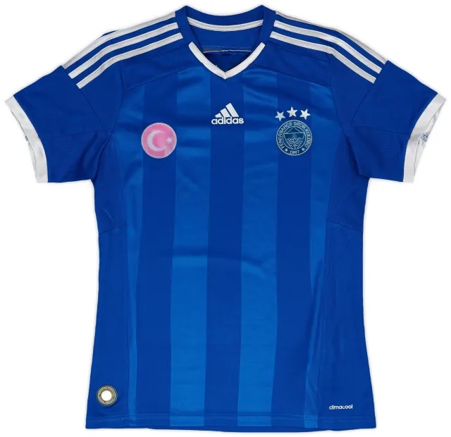 adidas Fenerbahce Mens SS Third Shirt 2014/15