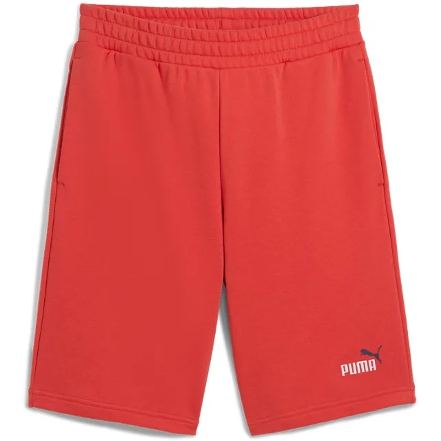 Puma Ess 2 Color No. 1 Logo 10 Shorts