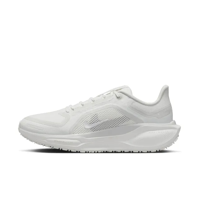 Nike Women's Waterproof Road Running Shoes Pegasus 41 GORE T