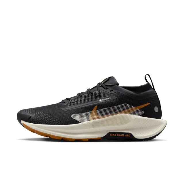 Nike Men's Pegasus Trail 5 Gore-Tex Sneaker Noir/Ivory/Black