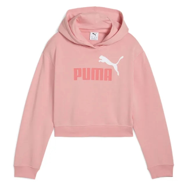 Puma Ess 2 Color Nº1 Logo Hoodie