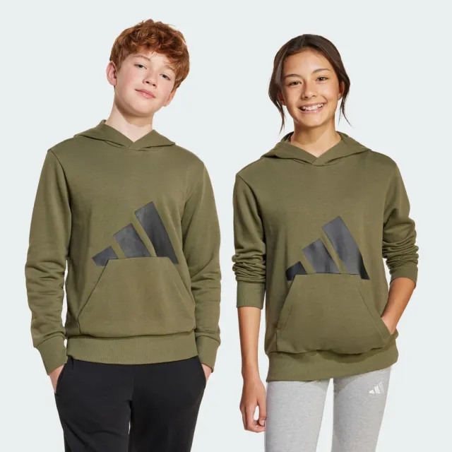 Adidas Essentials Big Logo Hoodie