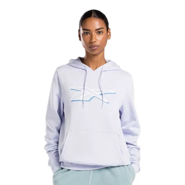 Reebok Vector Graphic Oth Hoodie