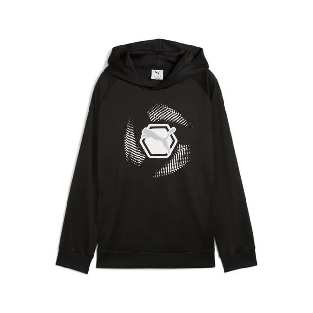 Puma Active Sports Graphic Hoodie