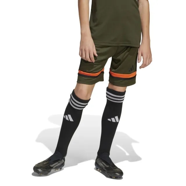 Adidas Shorts Squadra 25 - ['Green']