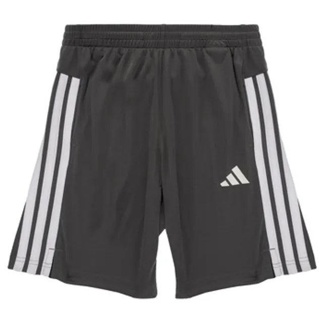 adidas  -  boys's Children's shorts in Grey