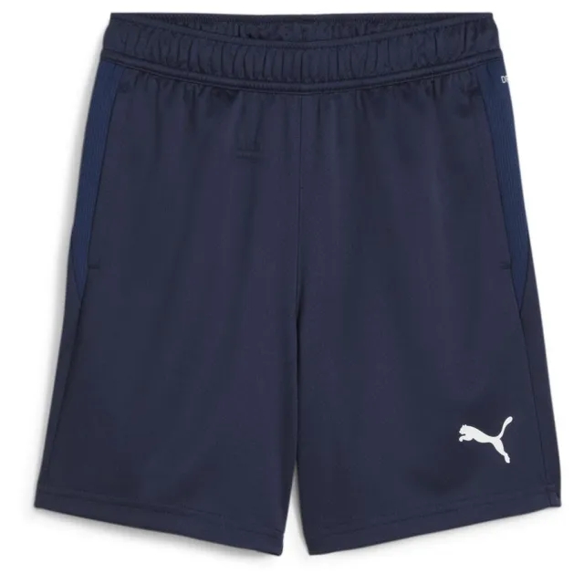 Puma Training Shorts Teamgoal - ['Blue']