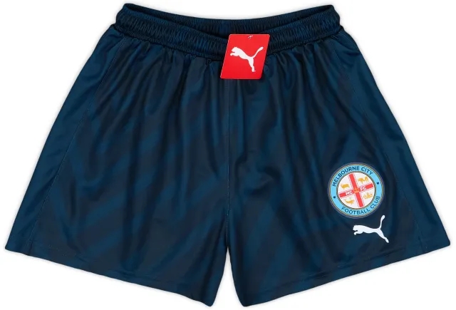 Puma 2023-24 Melbourne City Women's GK Shorts (L)