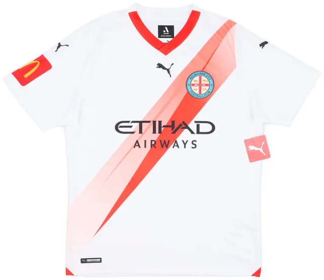 Puma 2023-24 Melbourne City Third Shirt (L)