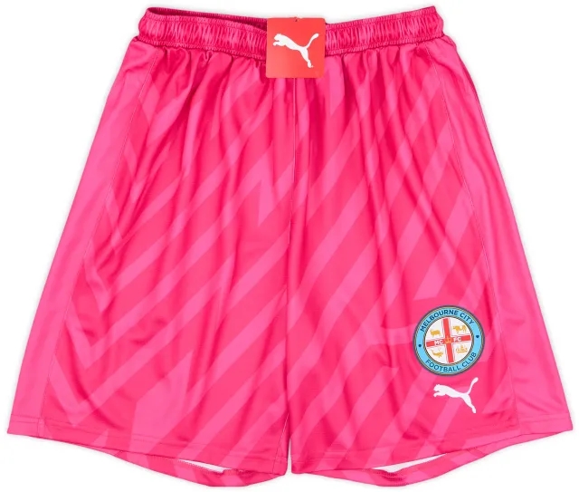 Puma 2023-24 Melbourne City GK Shorts (L)