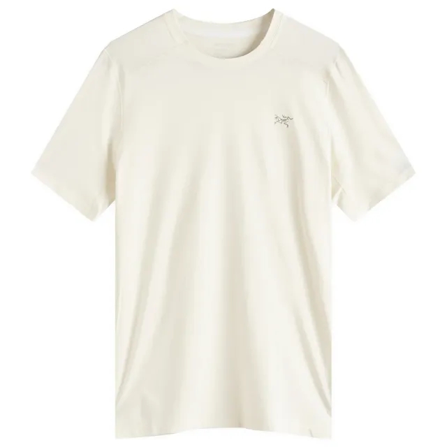 Arc'teryx Men's Cormac Crew T-Shirt Arctic Silk Heather Ii