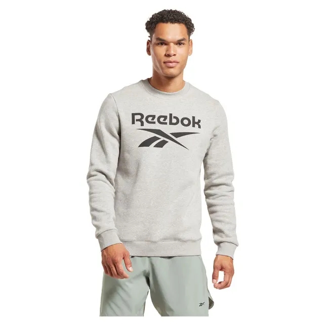 Reebok Ri Flc Big Logo Crew Sweatshirt