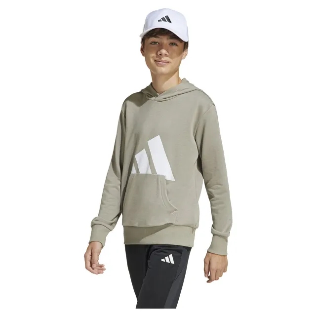 Adidas Essentials Big Logo Hoodie