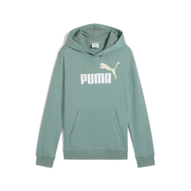 Puma Ess 2 Color Nº1 Logo Hoodie
