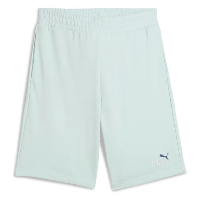 Puma Ess 2 Color No. 1 Logo 10 Shorts