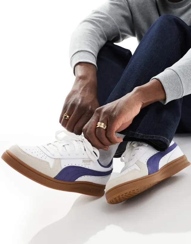 Puma Indoor