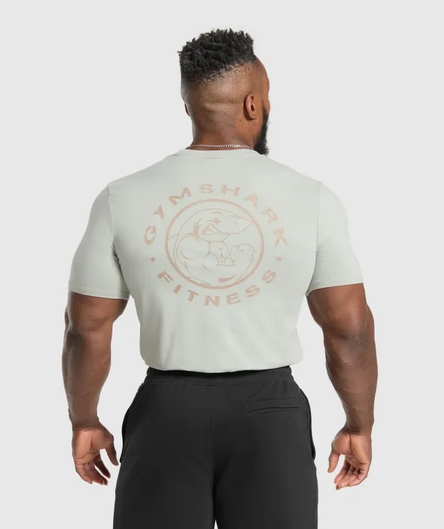 Gymshark Legacy T-Shirt - Stone Grey