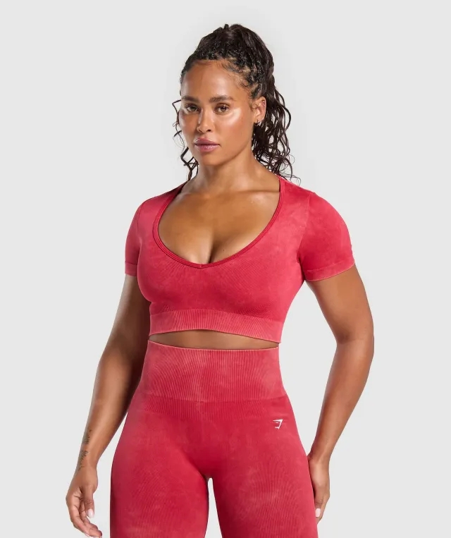  Gains Seamless Washed Crop Top - Carmine Red