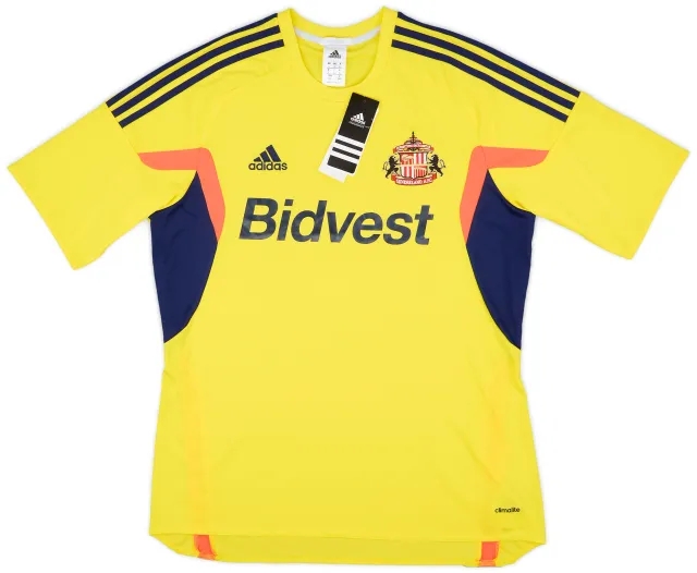 2013-14 Sunderland Away Shirt (L)