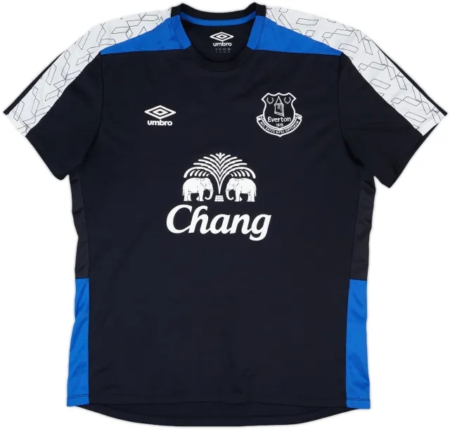 2015-16 Everton Umbro Training Shirt - 9/10 - (L)