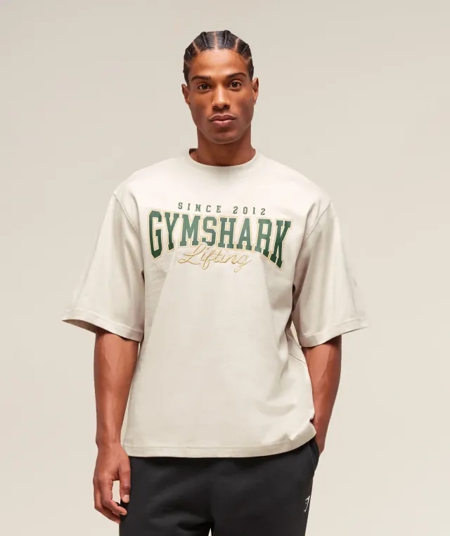  Lifting Essentials T-Shirt - Pebble Grey