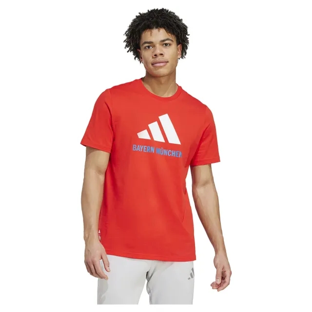 Adidas Fc Bayern Seasonal Graphic Short Sleeve T-shirt