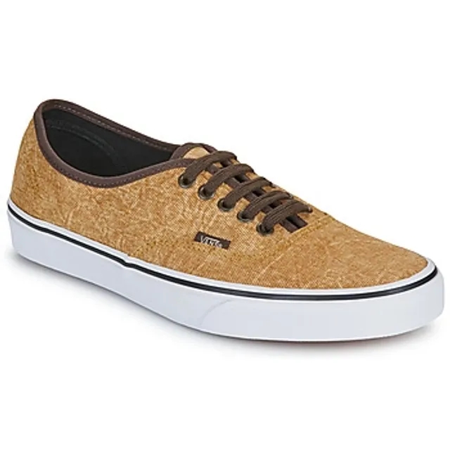 Vans  Authentic  men's Shoes (Trainers) in Brown
