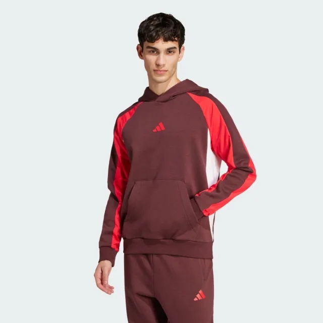 adidas Seasonal Essentials Colorblock Hoodie